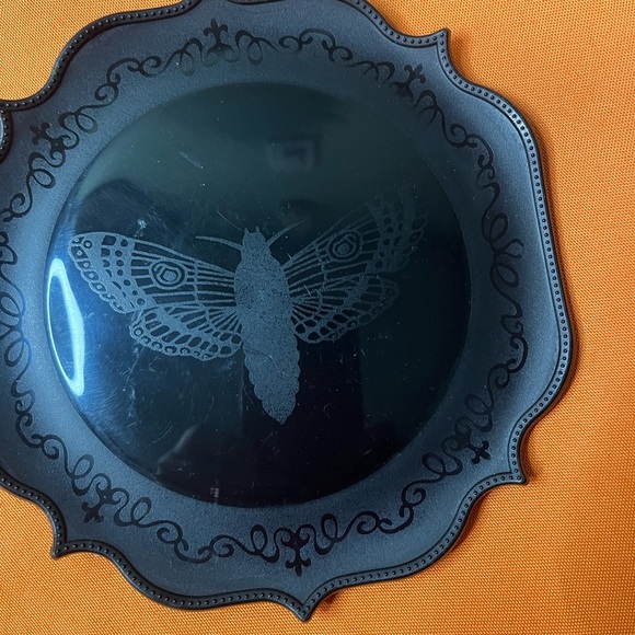 Black Decorative Plates with Spider and Moth Design - Picture 2 of 8
